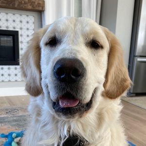 Meet your Posher, Sierra